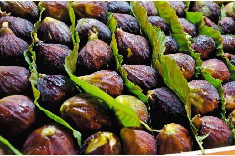 Fichi di San Mango sul Calore